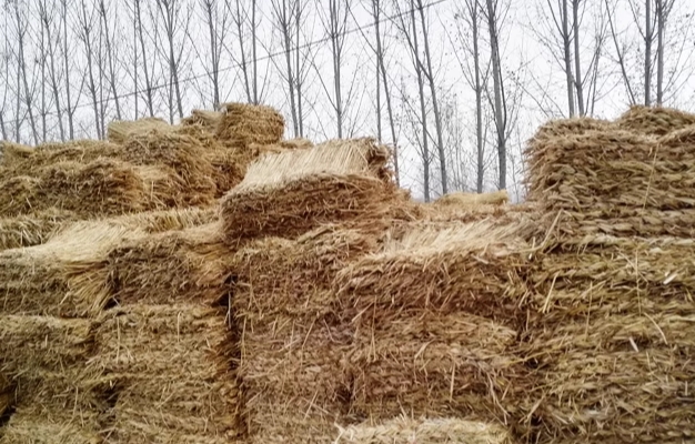 寧夏麻豆91视频网站廠家