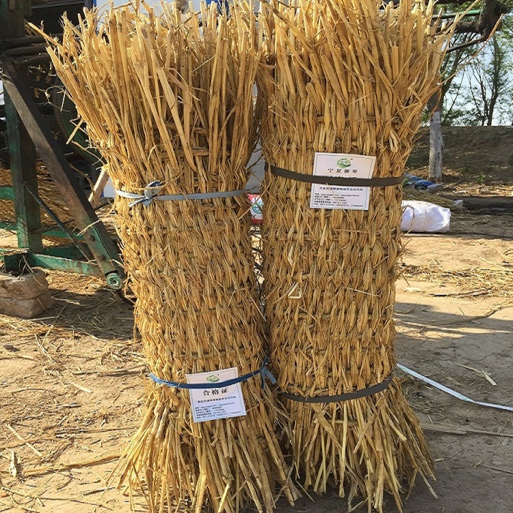 寧夏91视频WWW下载子